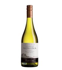 CASTILLO DEL MOLINA SAUV BLANC 750ML